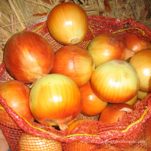 Fresh Big Onion for Export Vietnam Malaysia Singapore